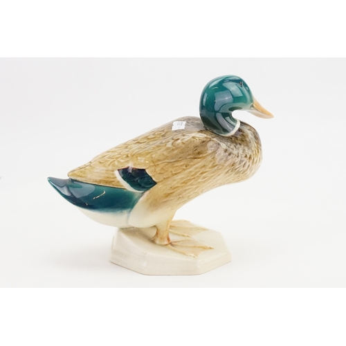 982 - A Large Beswick study of a Duck on Base No: 8799.