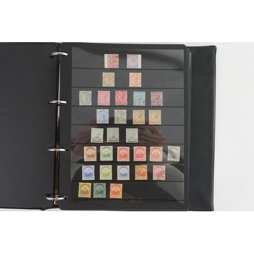 483 - A Collection of the Highest Quality Stamp Album containing Stamps of Queen Victoria, George V, Georg... 