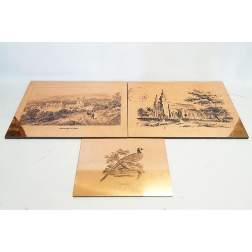 841 - Three Copper Plates to include Balmoral, Aberdeen & a Pheasant.