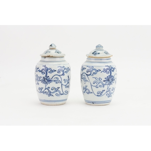 869 - Ex Collection Theophilus Peters - A Pair of Chinese Blue & White Ginger Jars possibly 