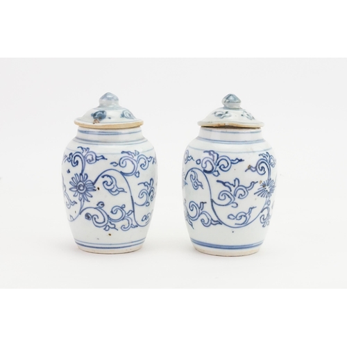 869 - Ex Collection Theophilus Peters - A Pair of Chinese Blue & White Ginger Jars possibly 