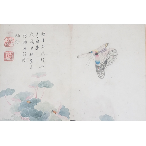 851 - Ex Collection Theophilus Peters - A small Chinese Water Colour on Silk depicting Butterflies, Framed... 