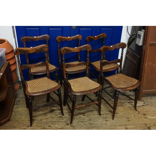 565 - A Set of Six Antique Cane Seat Stained as Rosewood Chairs.