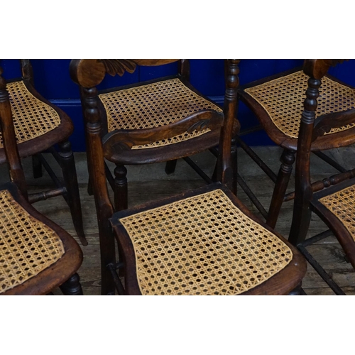 565 - A Set of Six Antique Cane Seat Stained as Rosewood Chairs.