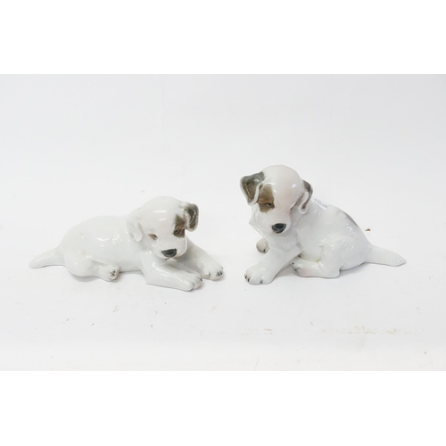 Lot 795       