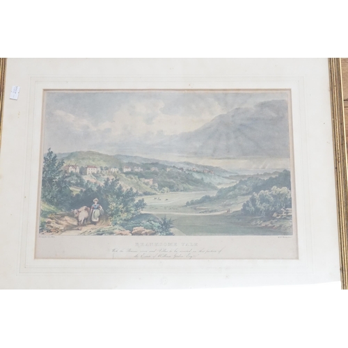 457 - Two Victorian Colour Plate Engravings of the Vale of Branksome, Hampshire with the Bourne River by J... 