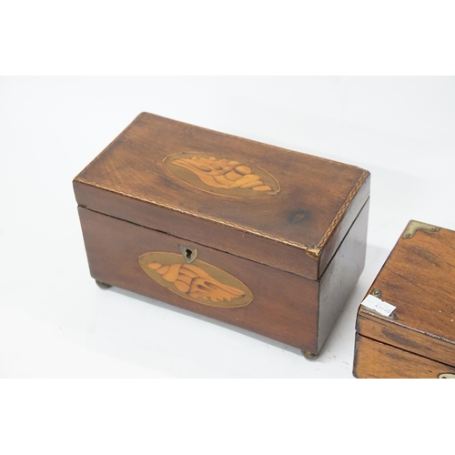 737 - A Georgian Mahogany Shell inlaid Tea Caddy fitted with two divisions.