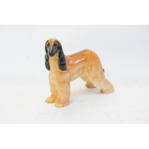 843 - A Beswick Study of an Afghan Hound 