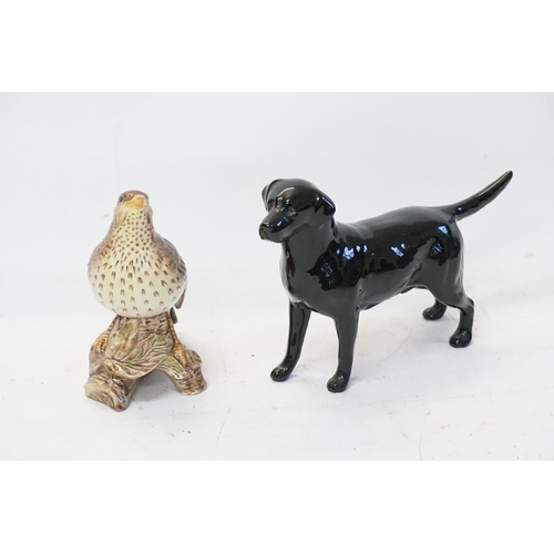 846 - A Black Glazed Study of a Beswick Labrador & a study of a Thrush (2308).