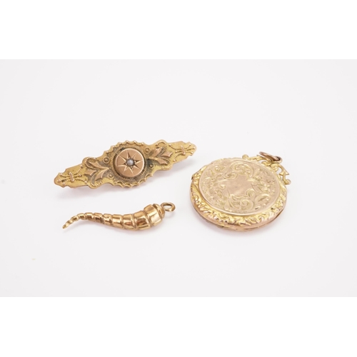 169 - A gold coloured chilli pendant, gold coloured brooch, and a locket.