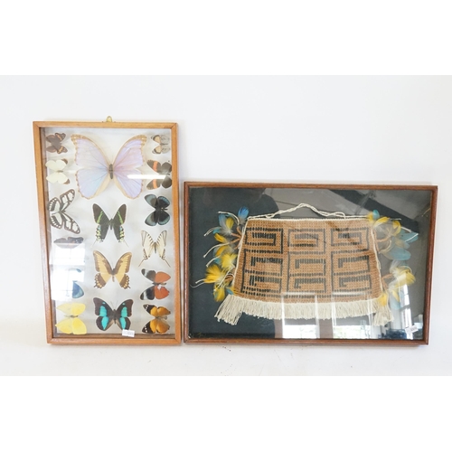 722 - A Collection of Brazilian Butterflies in a Glass Case & a Feather decorated Wham Pan Bag.