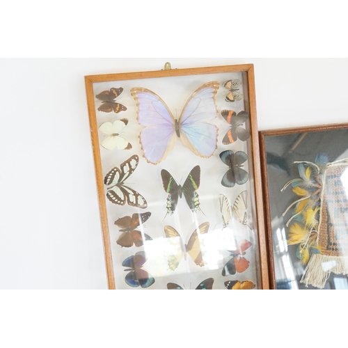 722 - A Collection of Brazilian Butterflies in a Glass Case & a Feather decorated Wham Pan Bag.