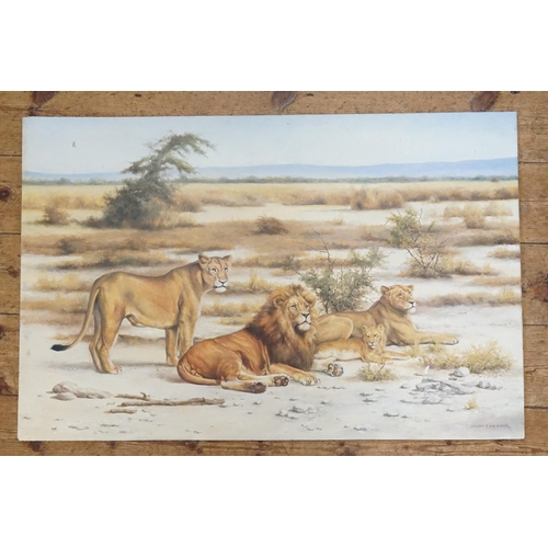 303 - A Willem Sternberg de Beer (B.1941) Painting of a Lion & Lioness with cubs. Signed bottom right corn... 