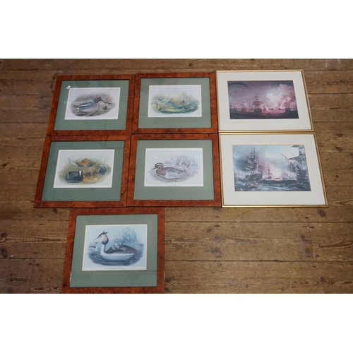 404 - Five Reproduction Bird Prints in Burr Walnut effect Frames along with two Shipping Prints, all Frame... 