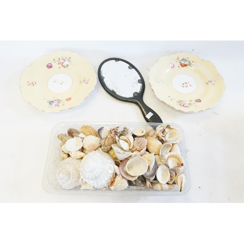 527 - A Large quantity of Sea Shells, Two Floral Plates & an Ebony Hand Mirror.