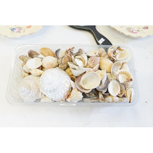 527 - A Large quantity of Sea Shells, Two Floral Plates & an Ebony Hand Mirror.