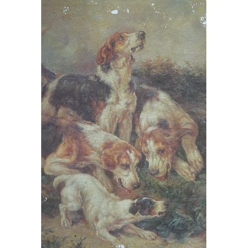 402 - A Print of a Group of Hunting Dogs in a heavy gilt frame. Measuring: 57cms x 67cms.