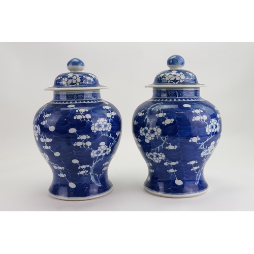 297 - A Pair of Chinese Blue & White Hawthorn pattern Ginger Jars with Covers. Measuring: 32cms high.