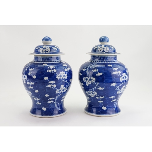 297 - A Pair of Chinese Blue & White Hawthorn pattern Ginger Jars with Covers. Measuring: 32cms high.