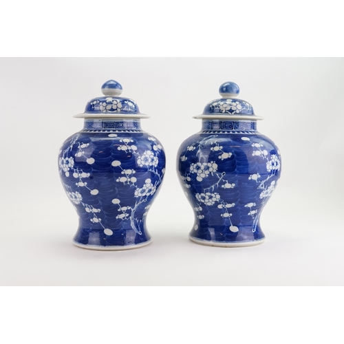 297 - A Pair of Chinese Blue & White Hawthorn pattern Ginger Jars with Covers. Measuring: 32cms high.