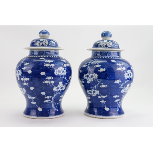 297 - A Pair of Chinese Blue & White Hawthorn pattern Ginger Jars with Covers. Measuring: 32cms high.