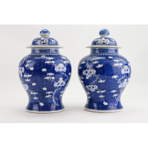 297 - A Pair of Chinese Blue & White Hawthorn pattern Ginger Jars with Covers. Measuring: 32cms high.