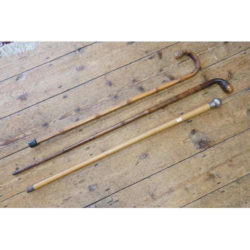 639 - A Silver metal Topped Walking Stick & Two 
Japanese Root Ball Walking Sticks.