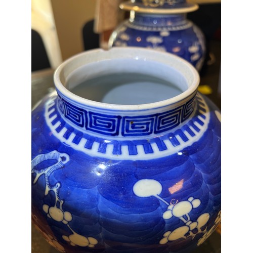 297 - A Pair of Chinese Blue & White Hawthorn pattern Ginger Jars with Covers. Measuring: 32cms high.