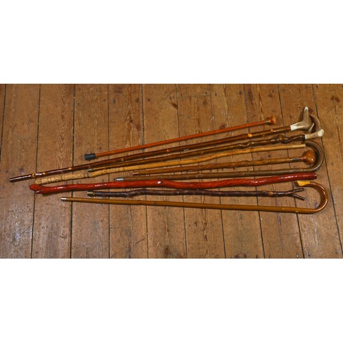 625 - A Collection of Swiss, Stag Horn, Shepard's & other Walking Sticks. (Total 10).