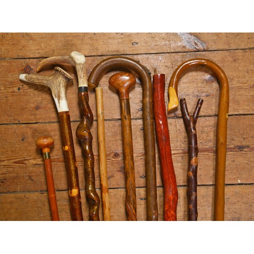 625 - A Collection of Swiss, Stag Horn, Shepard's & other Walking Sticks. (Total 10).