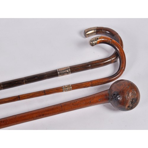 636 - Two Silver mounted & Capped Bamboo Walking Sticks & an Irish Shillelagh.