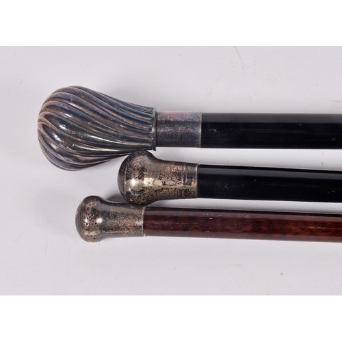 638 - Two Silver mounted Walking Sticks & one other. (All Silver Topped).