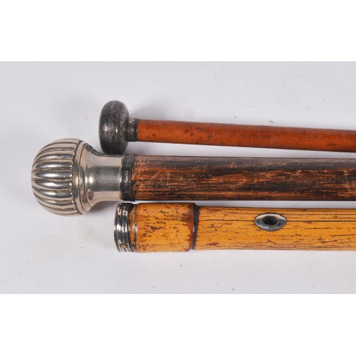 645 - An Engraved Silver Topped Walking Stick along with an Oak turned Walking Stick & one other. (All Sil... 