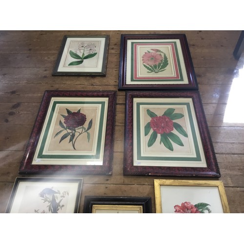 912 - A Collection of Five Prints & Two Paintings of Botanical Flower scenes in Vintage Frames. Measuring:... 