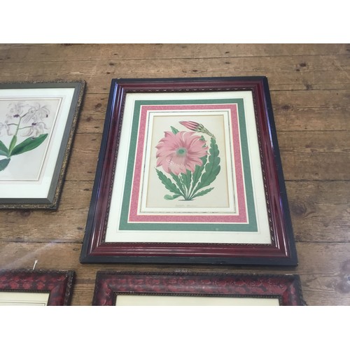 912 - A Collection of Five Prints & Two Paintings of Botanical Flower scenes in Vintage Frames. Measuring:... 