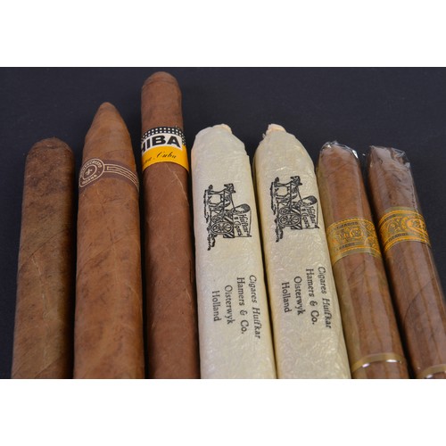 275 - A Collection of 7 x Various Cigars. (Please Note: The Cigars have been stored in a Humidor from purc... 