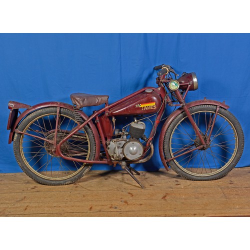 Lot 501       