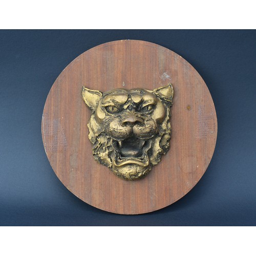 Lot 516       