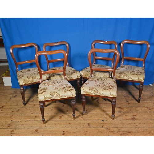Lot 529       