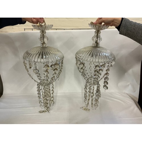 698 - A Pair of Bag shaped Glass Chandeliers.