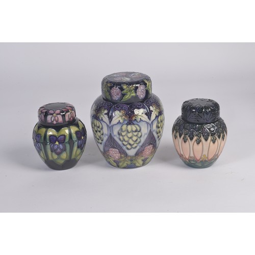 910 - A Grape decorated Moorcroft Ginger Jar & Cover along with Two Smaller Moorcroft Ginger Jars & Covers... 