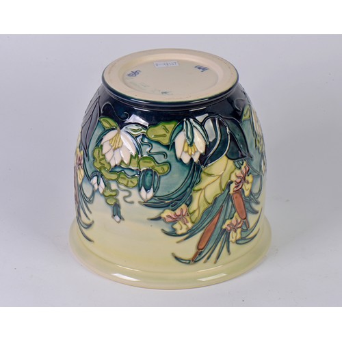 918 - A Moorcroft Jardiniere decorated with Lilly's & Iris's. Measuring: 17cms high.