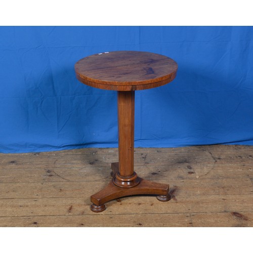 Lot 645       