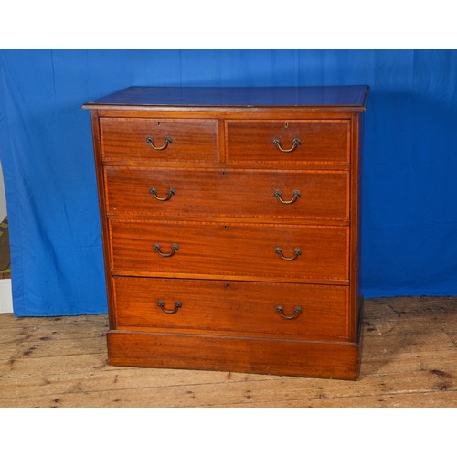 Lot 646       