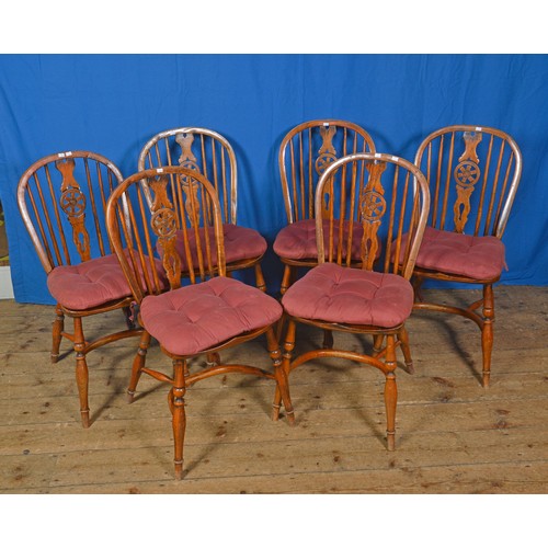 Lot 683       