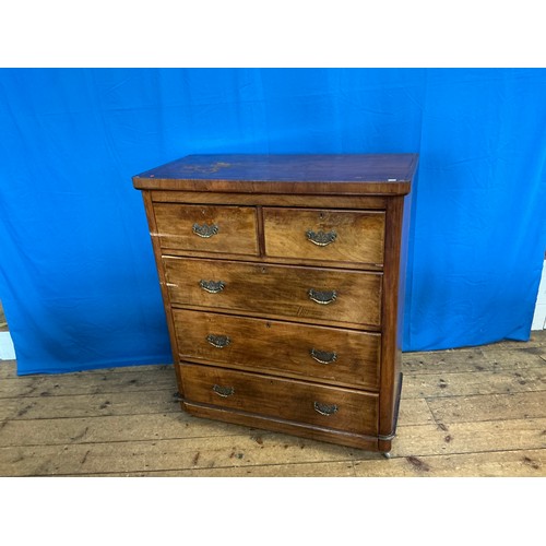 Lot 561       
