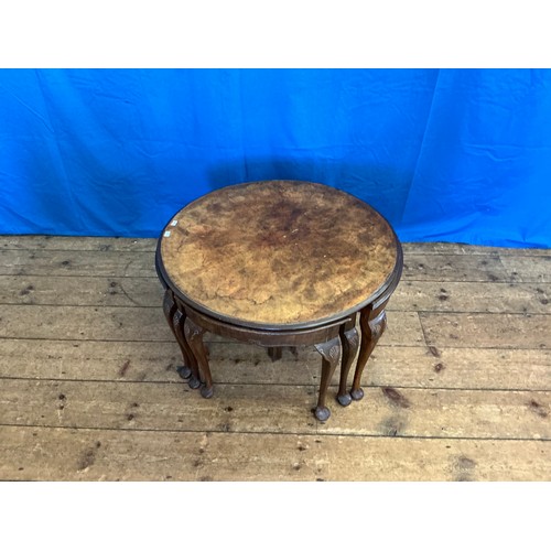 Lot 576       