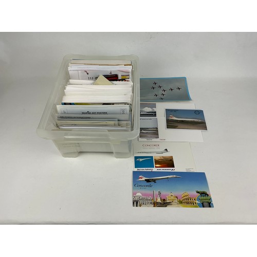 Lot 12        