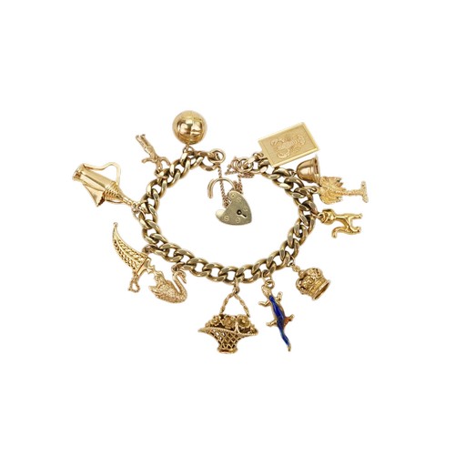A 9ct gold curb link charm bracelet, fitted with a 9ct gold heart shaped padlock clasp and suspending 13 charms. Comprising a 9ct gold lobster, 9ct gold police helmet, 18ct gold palm tree, 9ct gold cat, 9ct gold crown, gold lizard (mark rubbed), 9ct gold flower basket, swan (unmarked), 18ct gold kukri knife, 9ct gold wishbone, 18ct gold Turkish coffee pot, 9ct gold policeman and a 9ct gold football charm. Total weight 66g.
