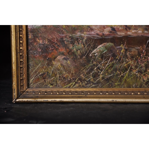 129 - Frank E Jamieson (1834-1899) British. A Mountainous River Landscape, Oil on Unstretched Canvas, Sign... 